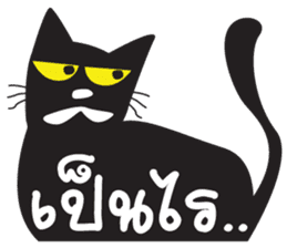 Black Cat Indy sticker #7219072