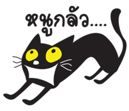 Black Cat Indy sticker #7219077