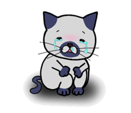 animal Band maybe sticker #7220614