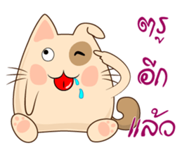 Pig Meow (TH) sticker #7220643