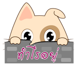 Pig Meow (TH) sticker #7220645