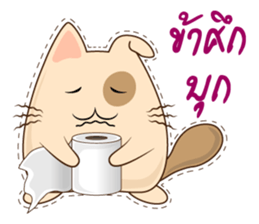 Pig Meow (TH) sticker #7220653