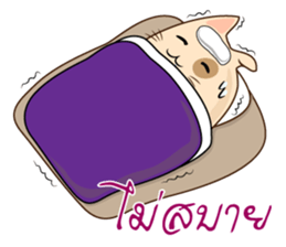 Pig Meow (TH) sticker #7220665