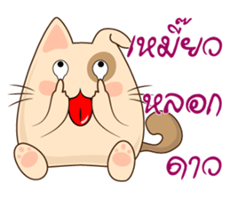 Pig Meow (TH) sticker #7220666