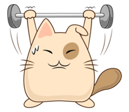 Pig Meow (TH) sticker #7220668