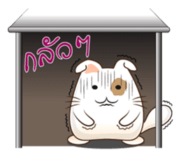 Pig Meow (TH) sticker #7220675