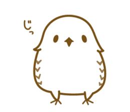 Cute white owl sticker #7222696