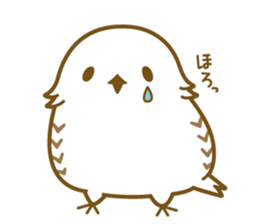 Cute white owl sticker #7222698