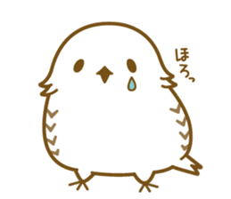 Cute white owl sticker #7222698