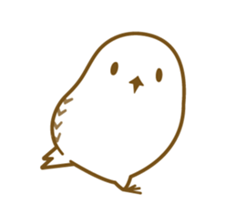 Cute white owl sticker #7222711