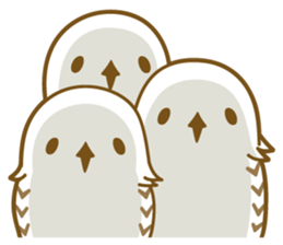 Cute white owl sticker #7222715