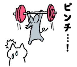 Japan Sticker KimamaNeko 8 sticker #7223278