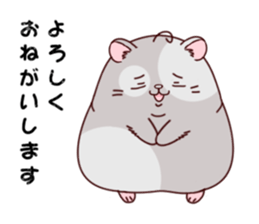 Hamster with 40 emotion or pattern sticker #7224833