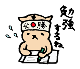 Report what I'm doing!!Lop ear cat sticker #7225650