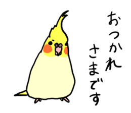 your honey cockatiel sticker #7229412