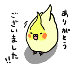 your honey cockatiel sticker #7229414