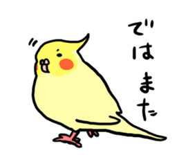 your honey cockatiel sticker #7229415