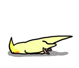 your honey cockatiel sticker #7229416