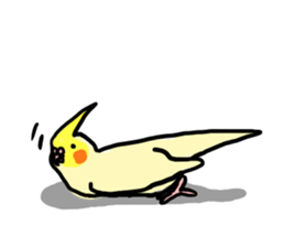 your honey cockatiel sticker #7229417