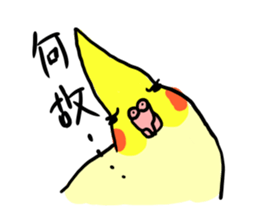 your honey cockatiel sticker #7229418