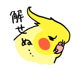 your honey cockatiel sticker #7229419