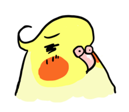 your honey cockatiel sticker #7229420