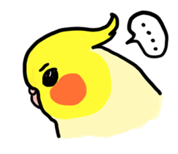 your honey cockatiel sticker #7229421