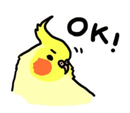 your honey cockatiel sticker #7229424