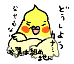 your honey cockatiel sticker #7229426