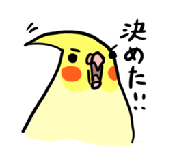 your honey cockatiel sticker #7229427