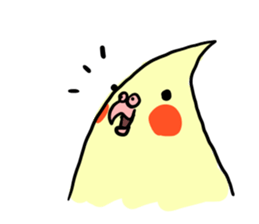 your honey cockatiel sticker #7229428