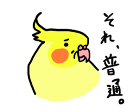 your honey cockatiel sticker #7229431