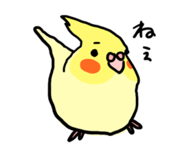your honey cockatiel sticker #7229432