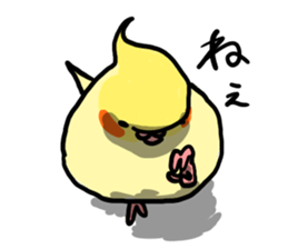 your honey cockatiel sticker #7229433