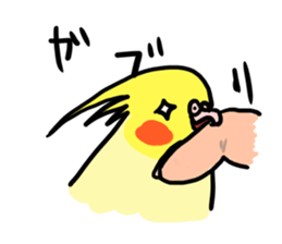 your honey cockatiel sticker #7229434
