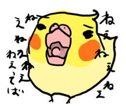 your honey cockatiel sticker #7229435