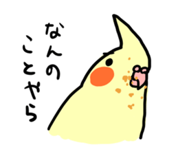 your honey cockatiel sticker #7229437