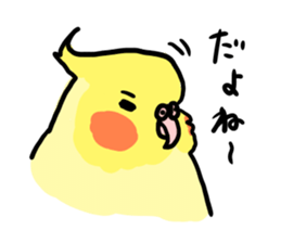 your honey cockatiel sticker #7229440