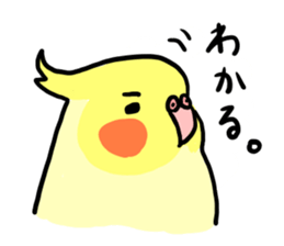 your honey cockatiel sticker #7229441