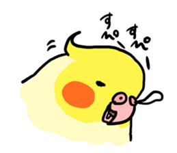your honey cockatiel sticker #7229443