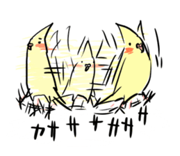 your honey cockatiel sticker #7229445