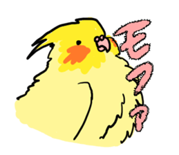 your honey cockatiel sticker #7229446