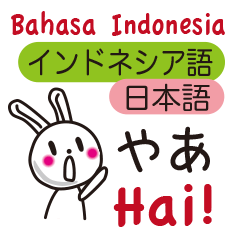 Indonesian rabbit