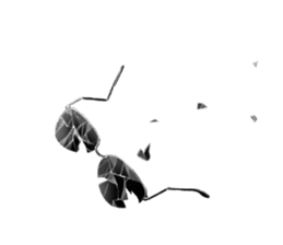 Mr.hamamaji 2 sticker #7232647