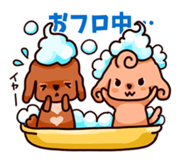 Story of seven colors Toy Poodle sticker #7232733