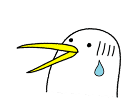 Kutchi of penguins sticker #7233440
