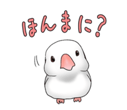 Java sparrow which uses dialect of Osaka sticker #7233488