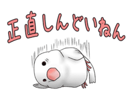 Java sparrow which uses dialect of Osaka sticker #7233489