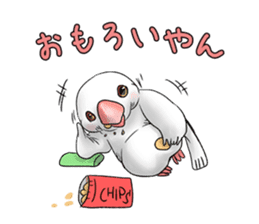 Java sparrow which uses dialect of Osaka sticker #7233493