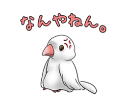 Java sparrow which uses dialect of Osaka sticker #7233495